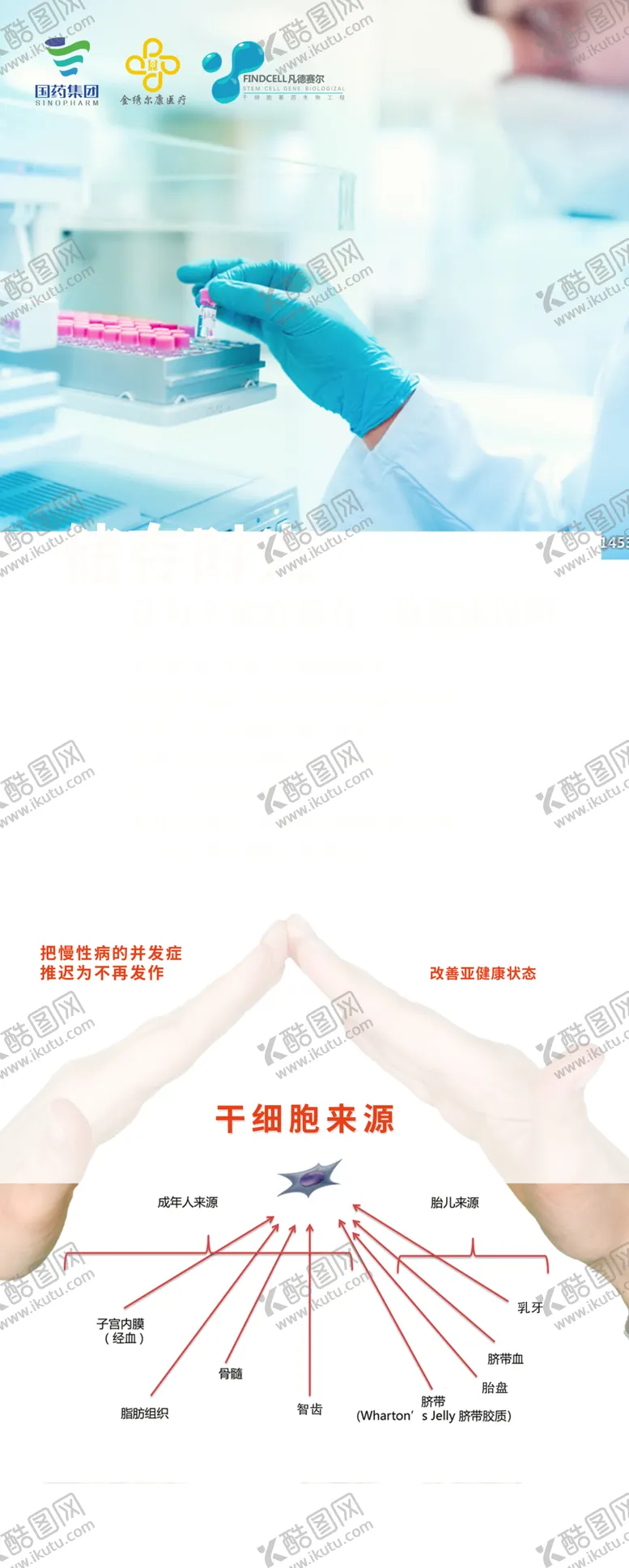 编号：83412505081908305229【酷图网】源文件下载-储存干细胞海报