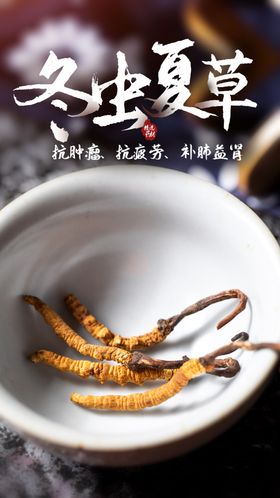 冬虫夏草中药活动宣传海报素材