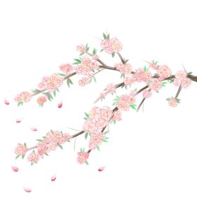 梅花桃花PNG