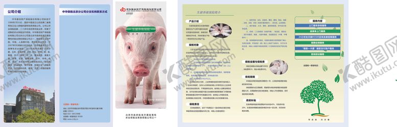 编号：57870507132155013760【酷图网】源文件下载-生猪折页
