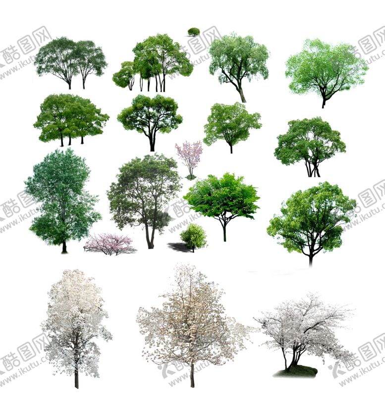 编号：27947710051029306260【酷图网】源文件下载-大树