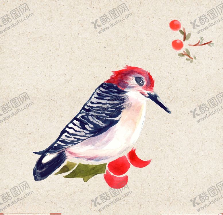 编号：75347010302012192448【酷图网】源文件下载-矢量动物矢量植物插画手绘