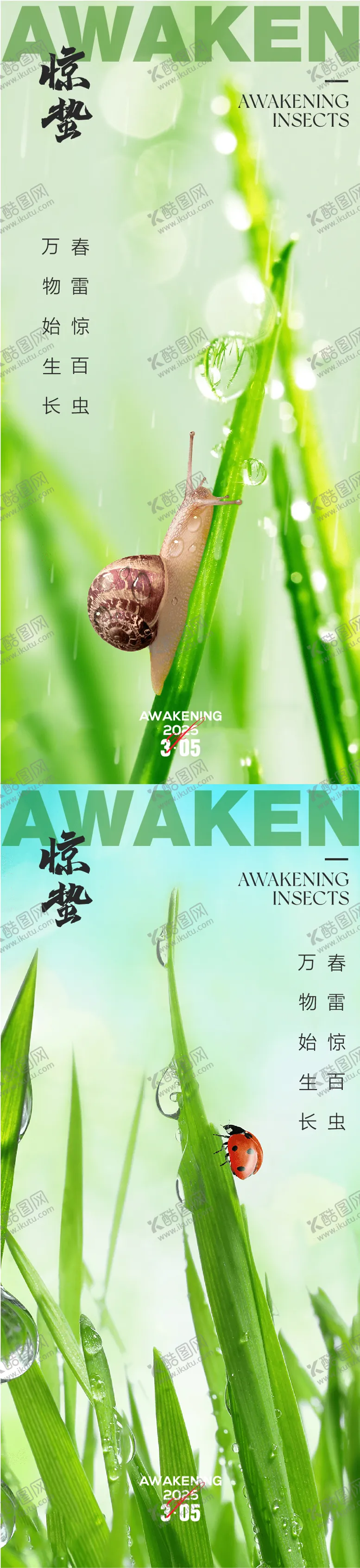 编号：75922102260244106167【酷图网】源文件下载-惊蛰海报