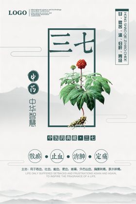 中医中药海报