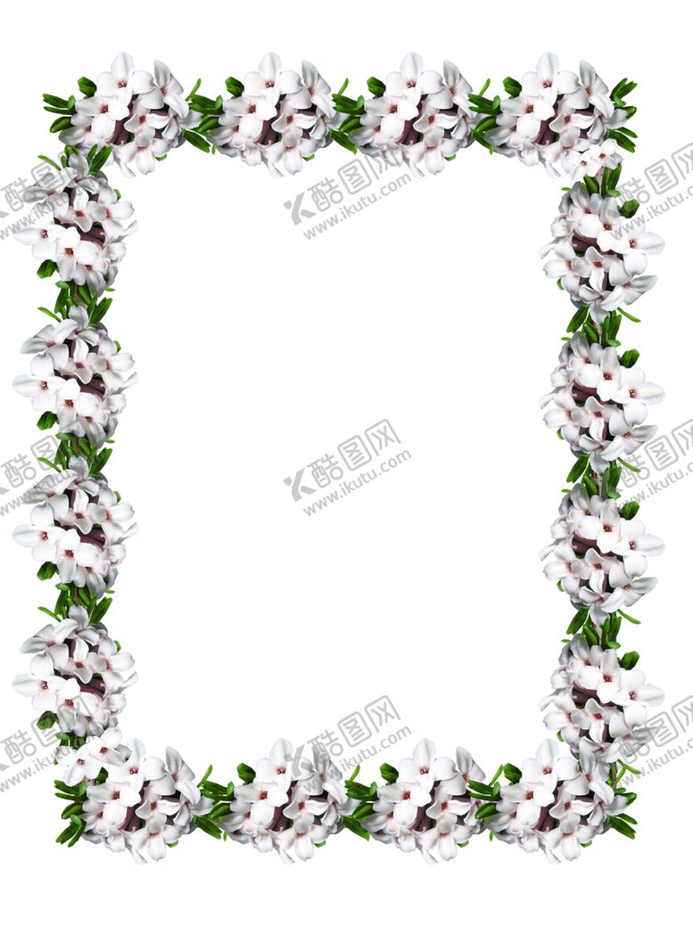 编号：30377702161715523167【酷图网】源文件下载-鲜花