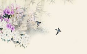 花鸟