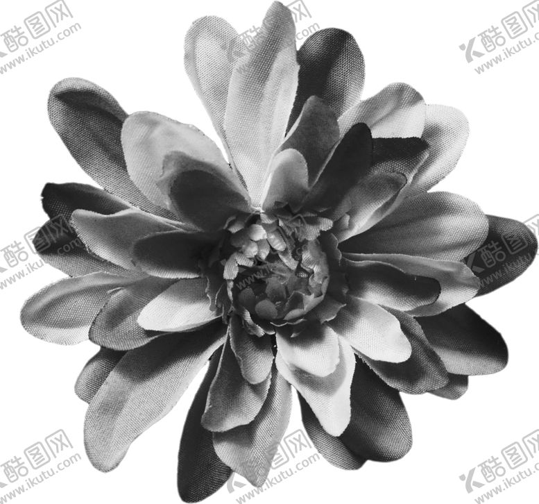 编号：52051406240447188701【酷图网】源文件下载-花素材