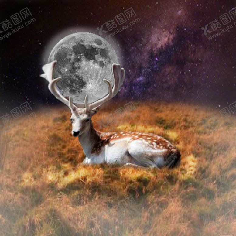 编号：44661110111912195807【酷图网】源文件下载-光照迷途鹿