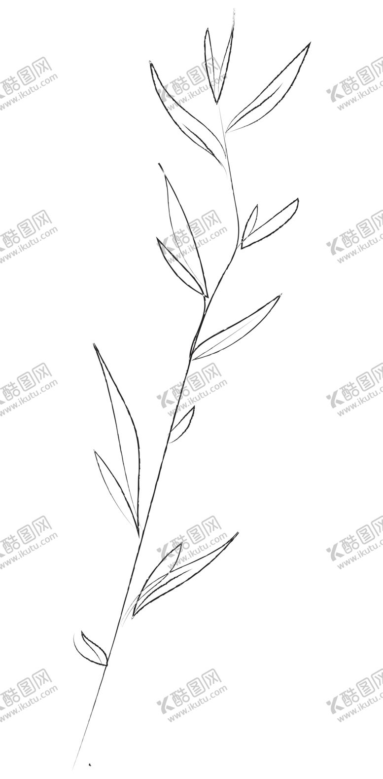 编号：72999610240251197924【酷图网】源文件下载-手绘植物花卉