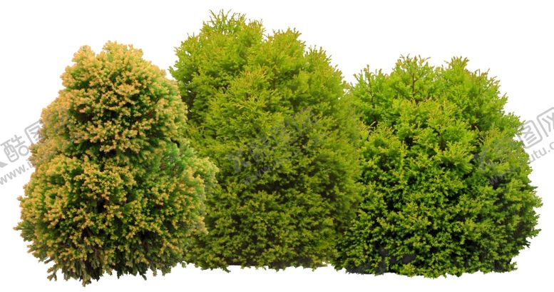 编号：52563809280011172266【酷图网】源文件下载-园林植物