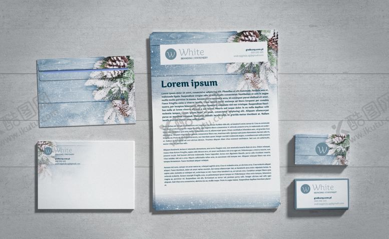 编号：40819910040159265147【酷图网】源文件下载-vi模版效果图样机