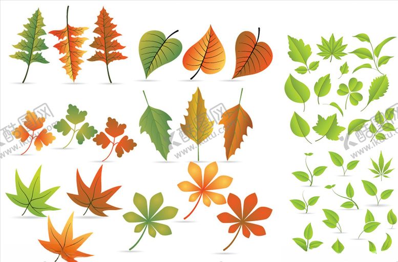 编号：80357109220448441681【酷图网】源文件下载-手绘卡通树叶