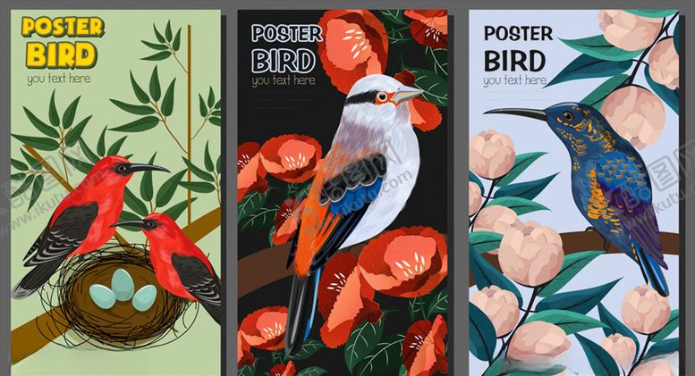 编号：88608711010842024204【酷图网】源文件下载-精美花鸟海报