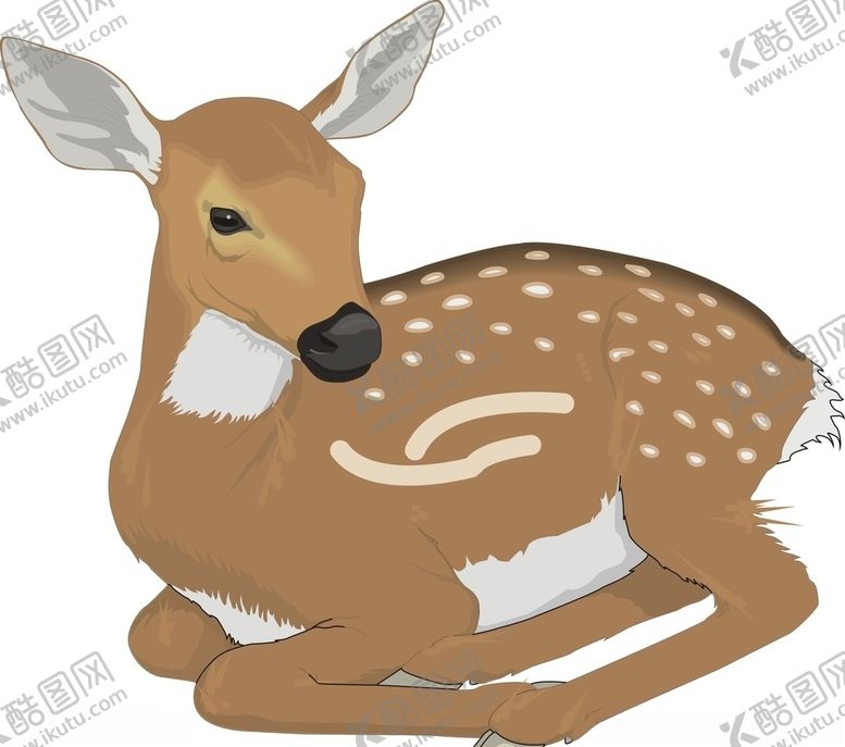 编号：86474109191845394395【酷图网】源文件下载-梅花鹿