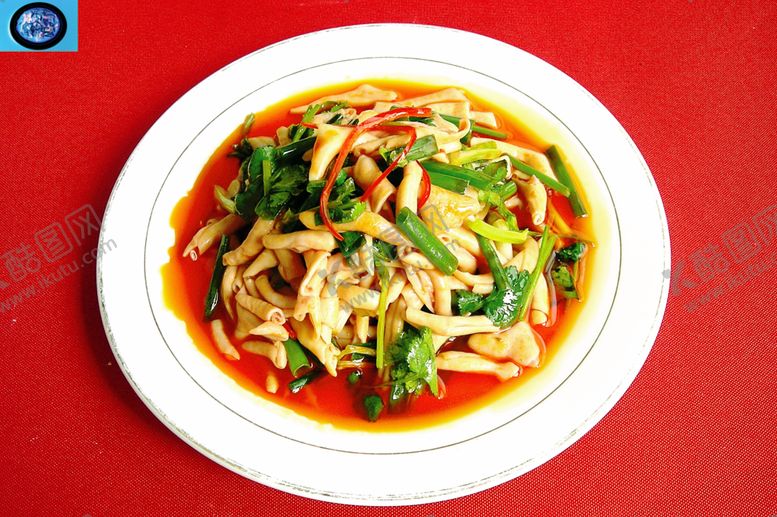 编号：99055009280336208045【酷图网】源文件下载-家常菜美食