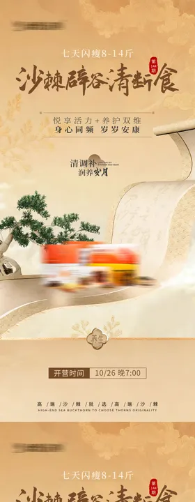 中式养生宣传海报
