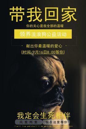 宠物海报