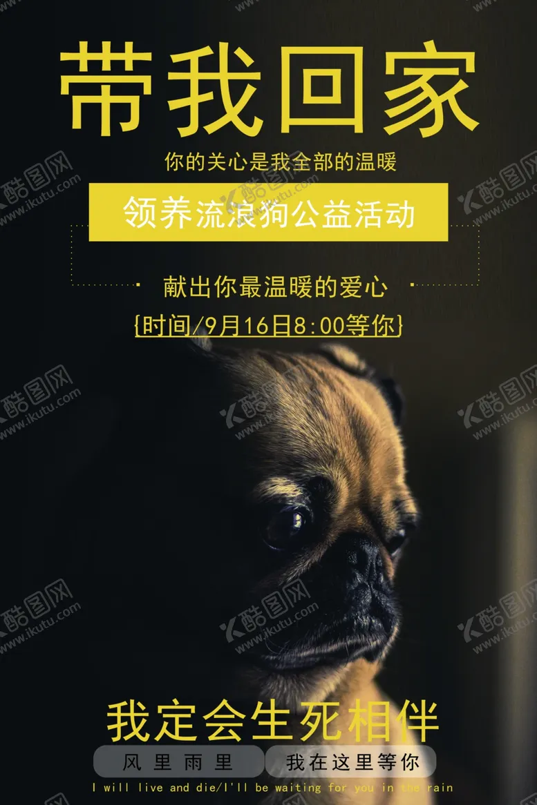 编号：83646907022307184705【酷图网】源文件下载-宠物海报