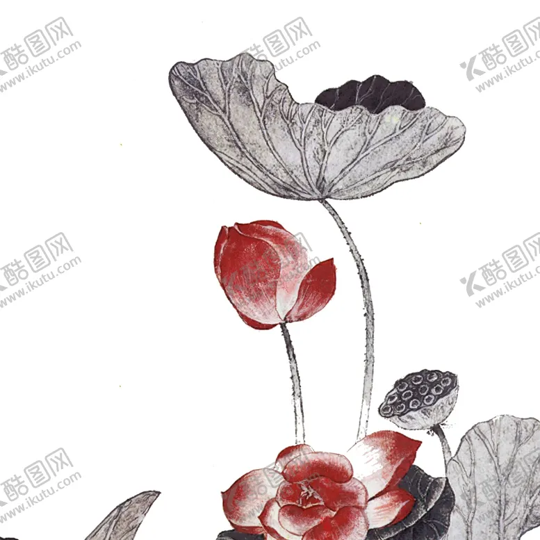 编号：99820601190206257535【酷图网】源文件下载-荷花素材