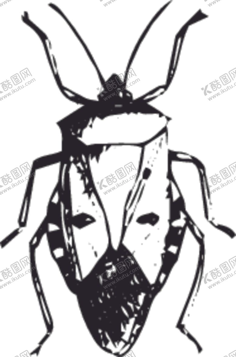 编号：95178210301247372462【酷图网】源文件下载-自然昆虫蝴蝶标本插画