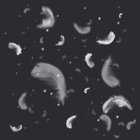 羽毛