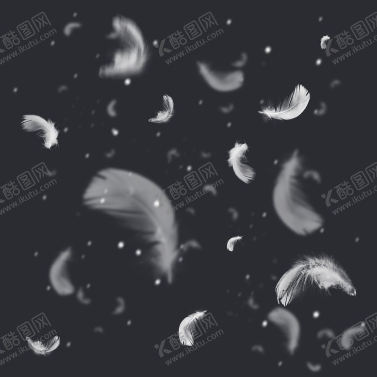 羽毛优美鹅轻盈素材