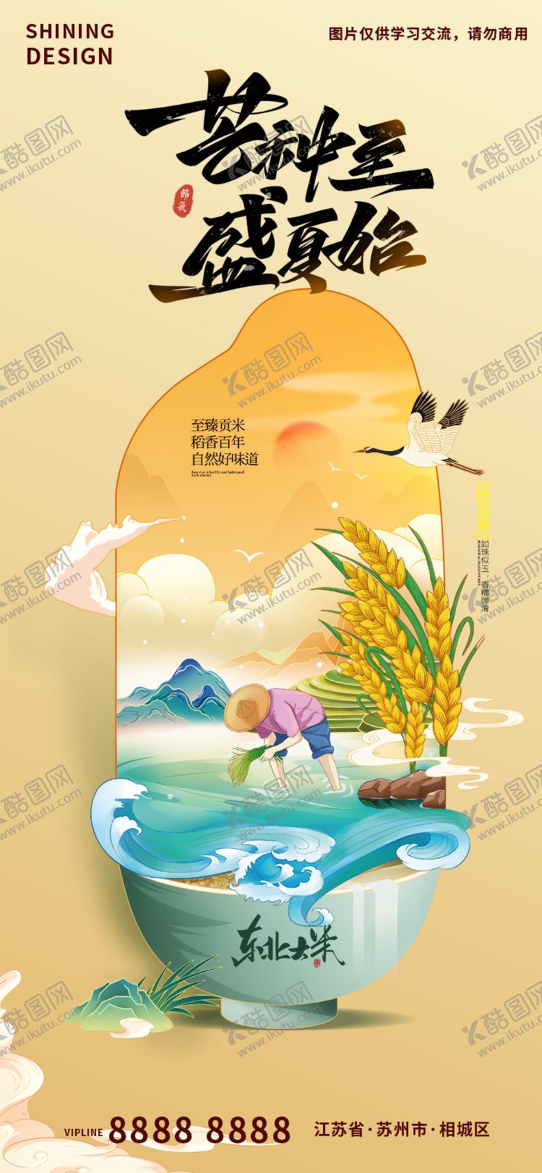 编号：16072509171704595029【酷图网】源文件下载-芒种海报