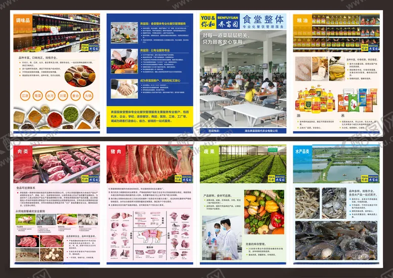 编号：63896906281450014975【酷图网】源文件下载-生鲜折页