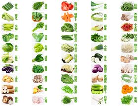 新鲜蔬菜海报素材