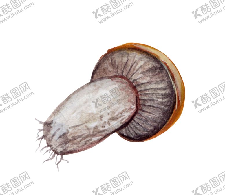 编号：62538409221650215073【酷图网】源文件下载-蘑菇