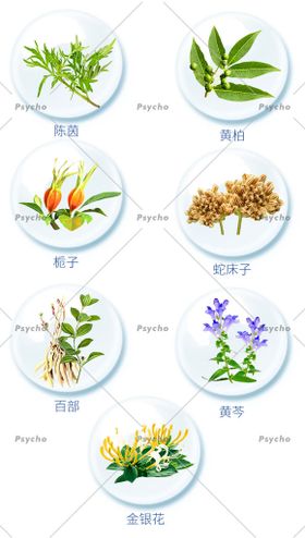 花朵小草素材合集