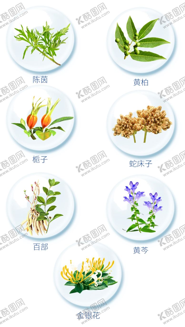 编号：21579009160426554685【酷图网】源文件下载-中草药素材合集