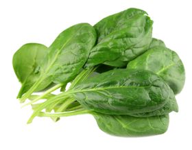 菠菜
