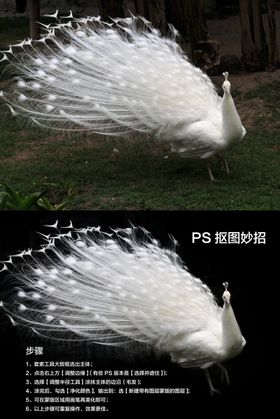 五秒抠万物