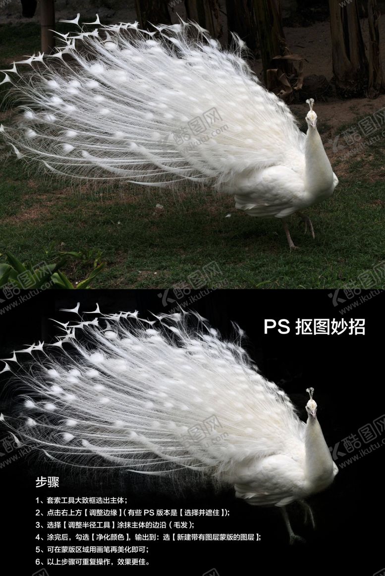 编号：19429407022215101764【酷图网】源文件下载-五秒抠万物