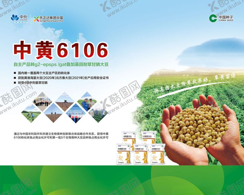 编号：31920302161508289880【酷图网】源文件下载-大豆定的两版