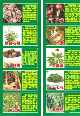 云南生态园广告
