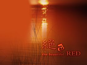 照相馆艺术照大头贴前景