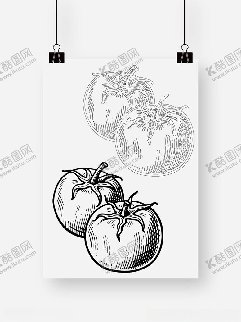 编号：96021909261124284645【酷图网】源文件下载-西红柿番茄