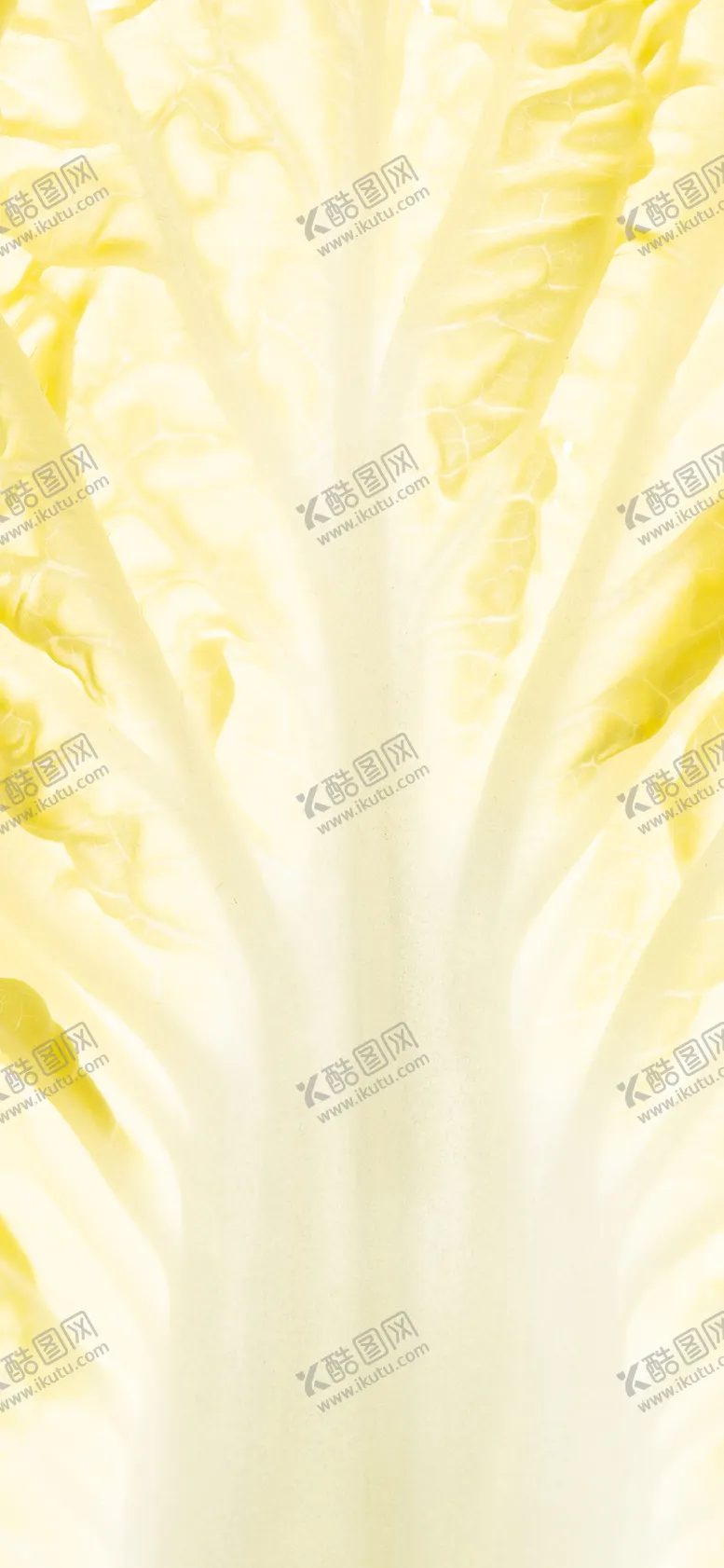 编号：28070607071545257329【酷图网】源文件下载-手机壁纸