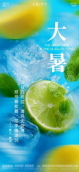 二十四节气海报大暑小暑