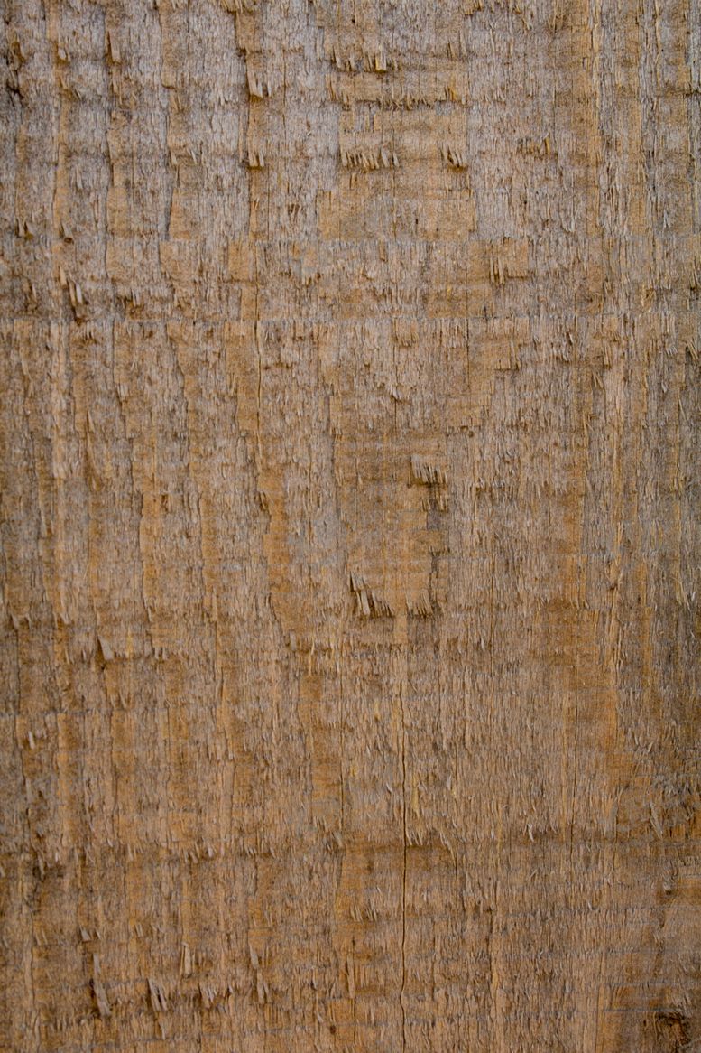 编号：43976509180919526516【酷图网】源文件下载-树皮