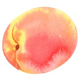 水彩创意插画水果