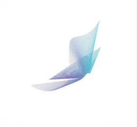 动感曲线