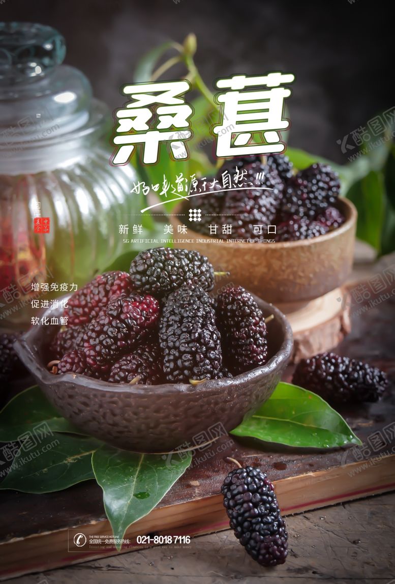 编号：25012107131051559518【酷图网】源文件下载-桑葚