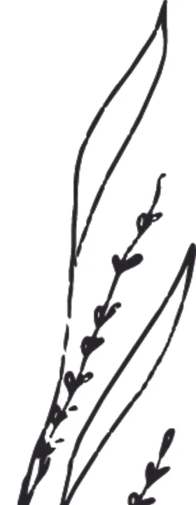 手绘花卉元素