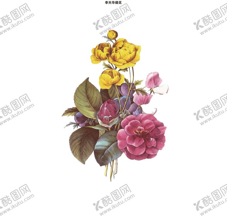 编号：51562510301347221800【酷图网】源文件下载-手绘花