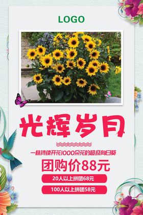 绿植团购