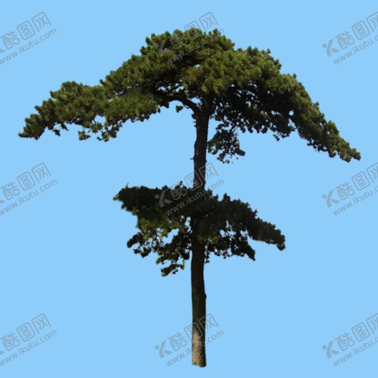 编号：29736107091115019303【酷图网】源文件下载-景观树