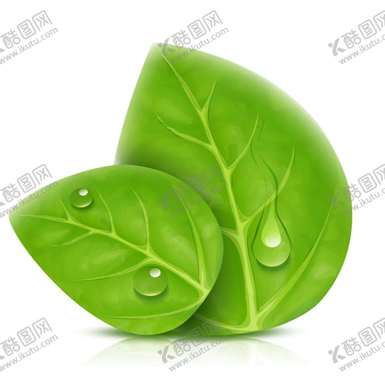 编号：29353106271115171093【酷图网】源文件下载-绿色植物